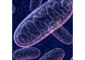 AIE™ Mitochondria Probes